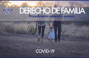 Procedimiento especial y sumario en derecho de familia por la crisis del COVID-19