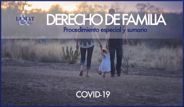 Procedimiento especial y sumario en derecho de familia por la crisis del COVID-19